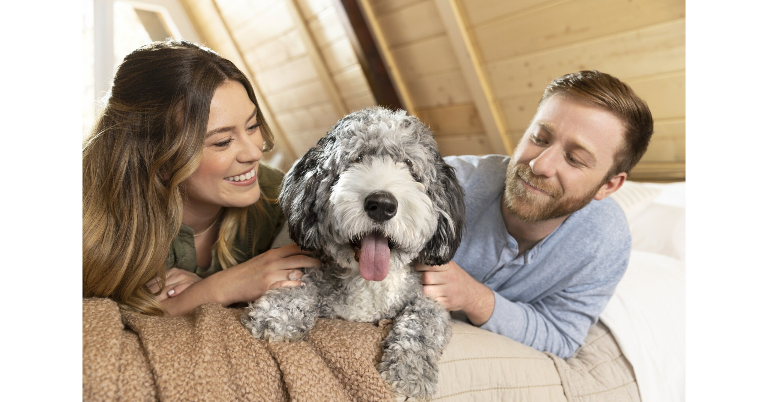 When It Comes to Pets in the Bedroom, Three's a Crowd – PR Newswire