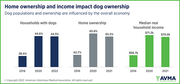 Pet ownership rate stabilizes as spending increases – American Veterinary Medical Association